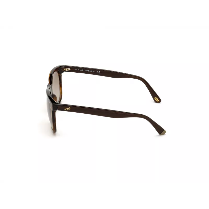 Óculos de sol de homem WEB EYEWEAR WE0279-5652G Havana verde 56/19/145 mm