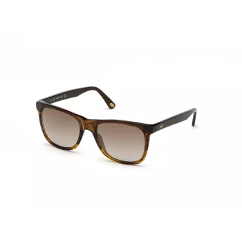 Óculos de sol de homem WEB EYEWEAR WE0279-5652G Havana verde 56/19/145 mm