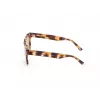 WEB EYEWEAR MAN WE0314-0041F Óculos de sol armação de acetato Havana lentes castanhas degradê 54-19-145