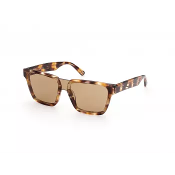 WEB EYEWEAR MAN WE0314-0041F Óculos de sol armação de acetato Havana lentes castanhas degradê 54-19-145