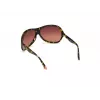 Óculos de sol retangulares gatinho de mulher WEB EYEWEAR WE0290-6552F Havana castanho 65/12/115 mm
