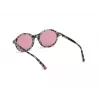 Óculos de sol de mulher WEB EYEWEAR Cat-Eye WE0266-5155Y Havana/castanho degradê 51mm