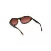 Óculos de sol WEB EYEWEAR mulher WE0288-6052F Havana cinzento degradê 60/18/125 mm