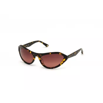 Óculos de sol WEB EYEWEAR mulher WE0288-6052F Havana cinzento degradê 60/18/125 mm