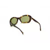 Óculos de sol de mulher WEB EYEWEAR WE0289-5652N Havana acetato armação quadrada lentes castanhas degradê 56/19/130 mm