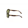 Óculos de sol de mulher WEB EYEWEAR WE0289-5652N Havana acetato armação quadrada lentes castanhas degradê 56/19/130 mm
