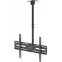 WENTRONIC Goobay Suporte de Teto para TV XL 80175