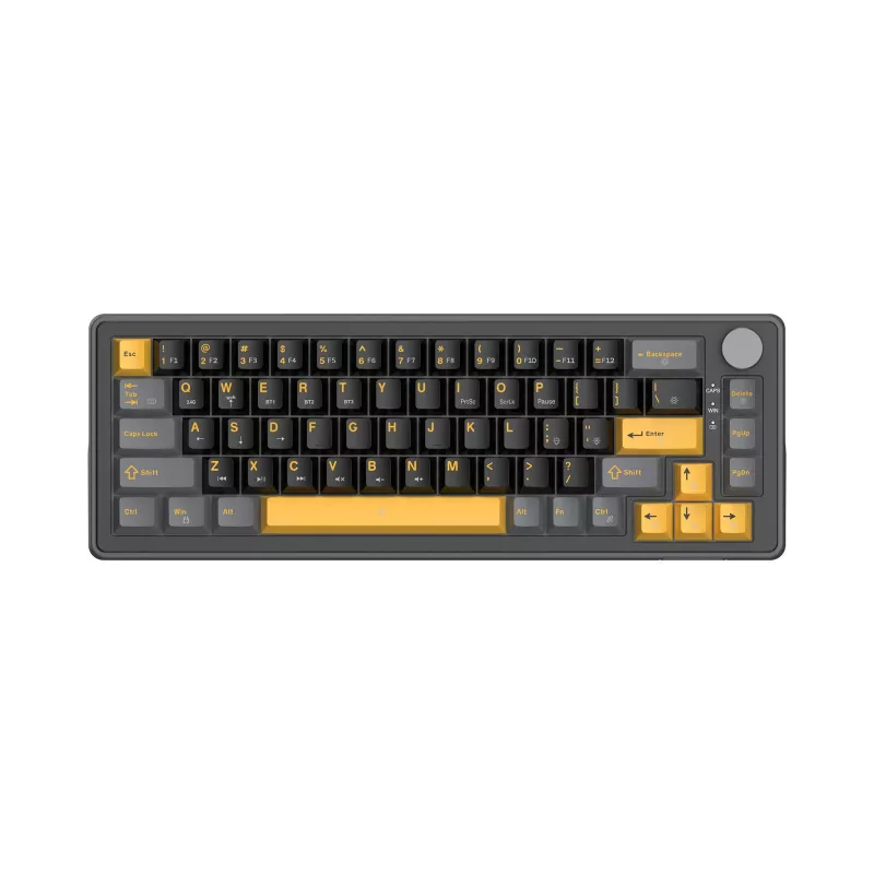 Teclado mecânico gaming White Shark EXCALIBUR M GK-009151, preto, layout US, RGB, com fios