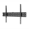WINX MOUNT Simple Suporte de TV, 37-70 polegadas, até 40 kg