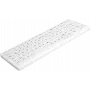 Teclado Active Key AK-4100 USB QWERTY inglês branco mini com fio 82 teclas